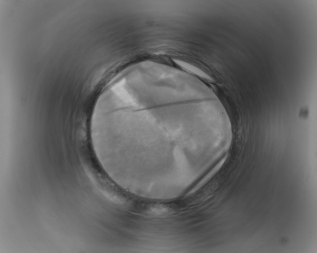 X0000113140547200910161158