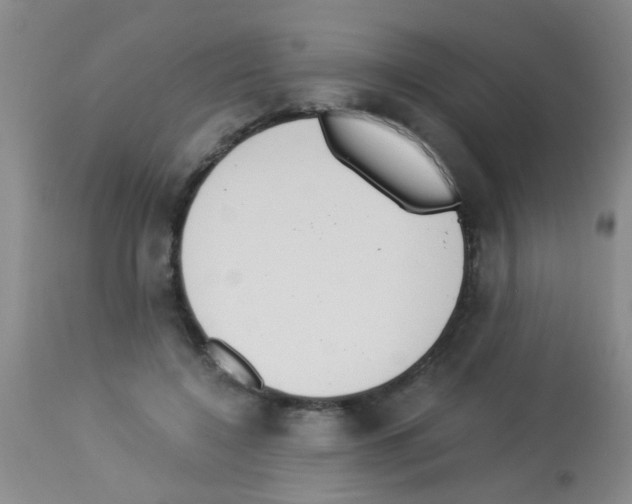 X0000113140548200910161158