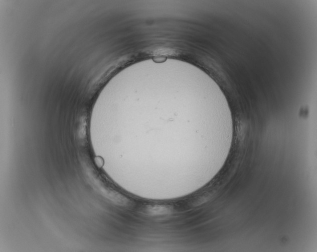 X0000113140549200910161158