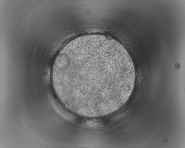X0000113140550200910161158