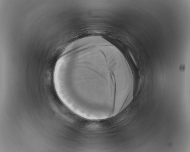 X0000113140551200910161158