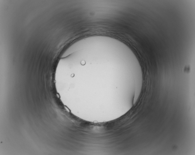 X0000113140552200910161158