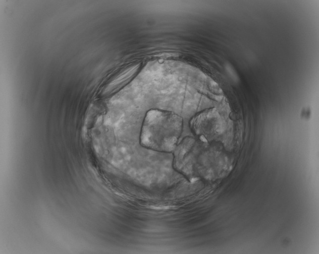 X0000113140553200910161158