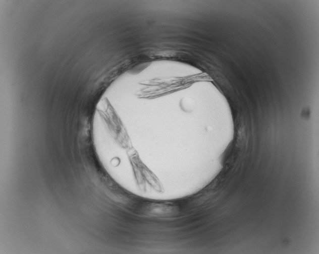 X0000113140555200910161158