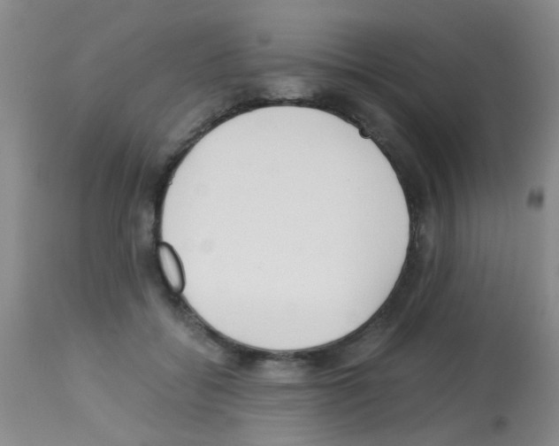 X0000113140556200910161158