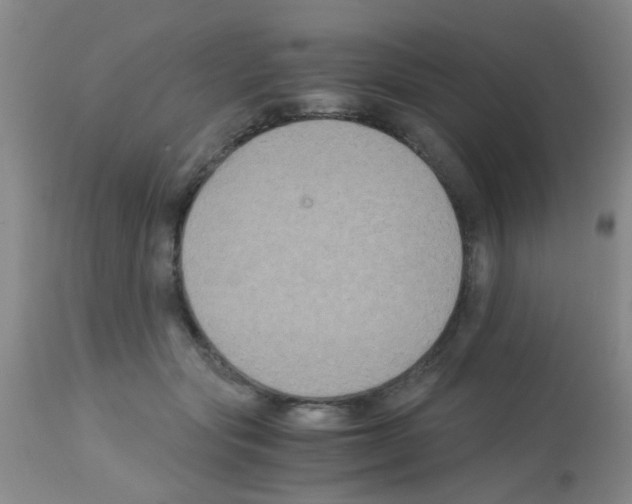 X0000113140557200910161158