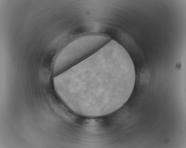 X0000113140558200910161158