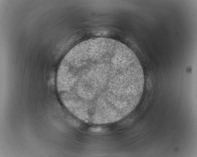 X0000113140561200910161158