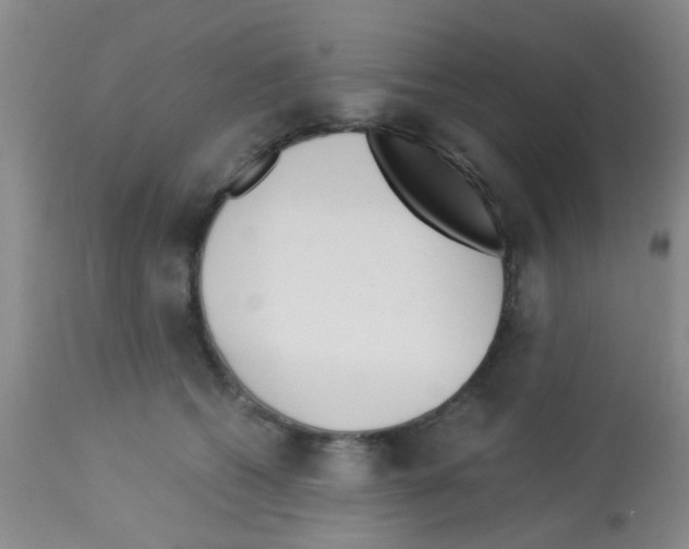 X0000113140562200910161158