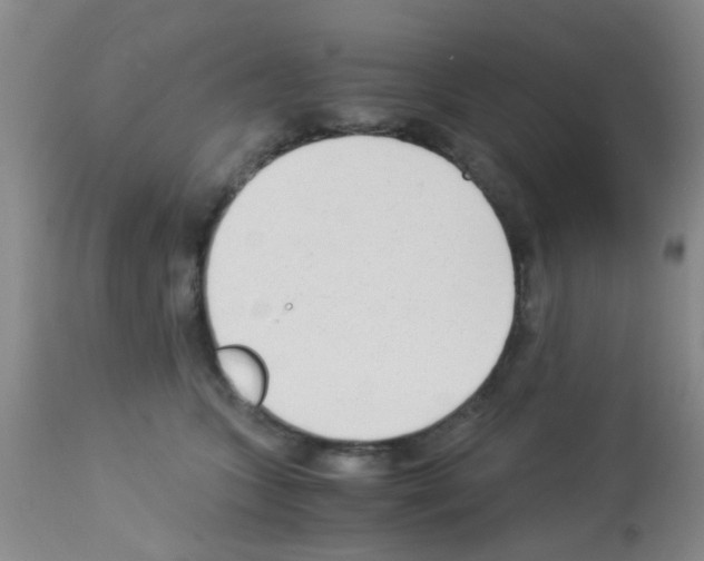 X0000113140563200910161158