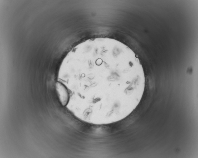 X0000113140564200910161158