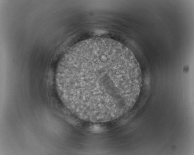 X0000113140565200910161158