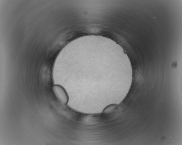 X0000113140568200910161158