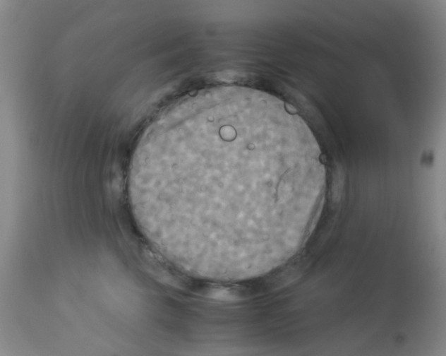 X0000113140569200910161158
