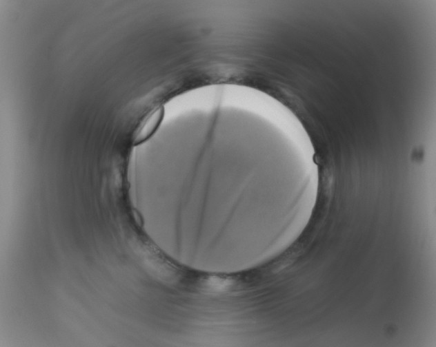 X0000113140570200910161158