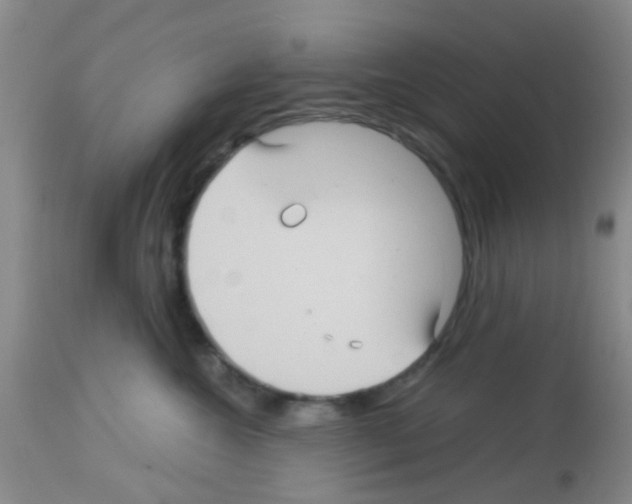 X0000113140572200910161158
