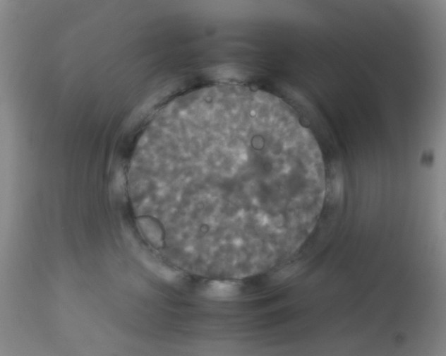 X0000113140573200910161158