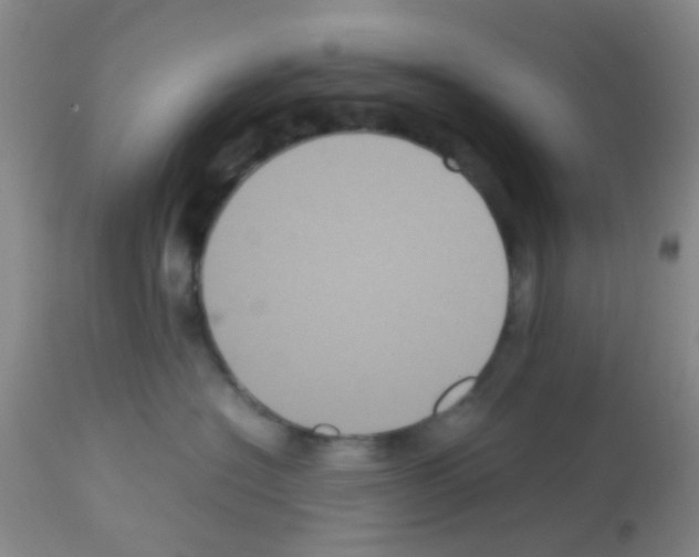 X0000113140574200910161158