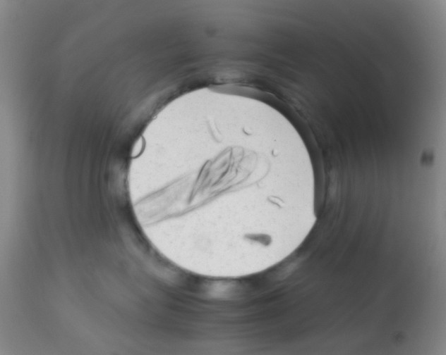 X0000113140575200910161158
