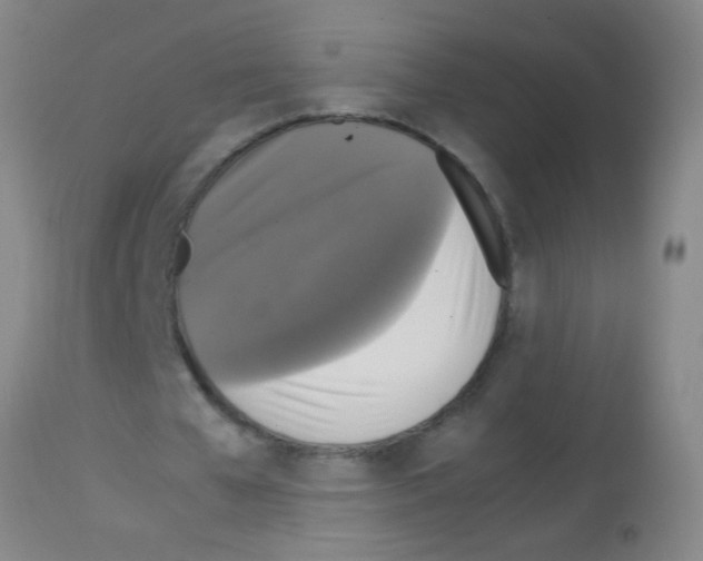 X0000113140577200910161158