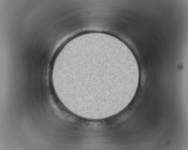 X0000113140580200910161157