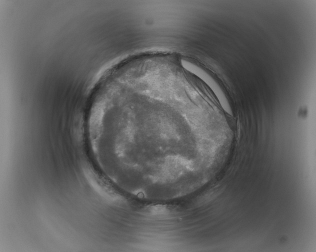 X0000113140588200910161157
