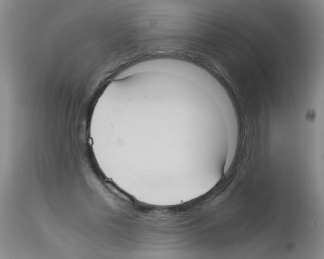 X0000113140589200910161157