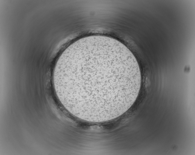 X0000113140591200910161157