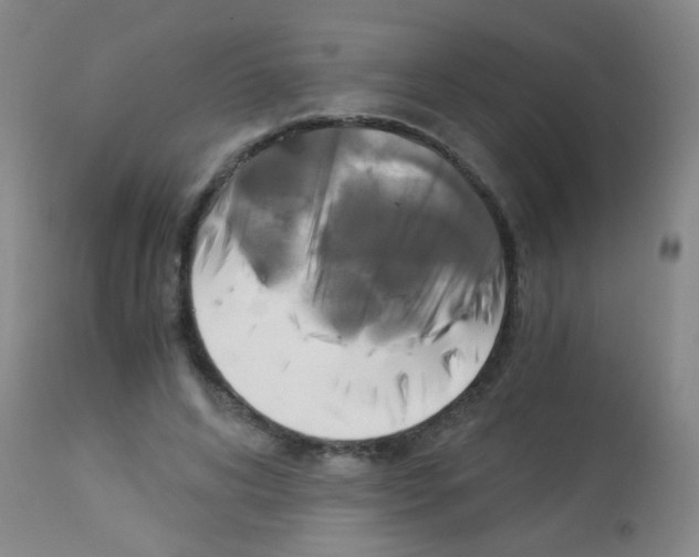 X0000113140592200910161157