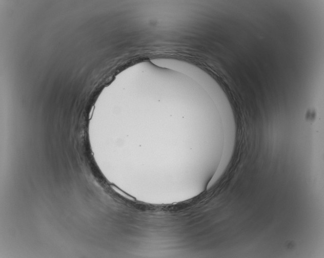 X0000113140593200910161157