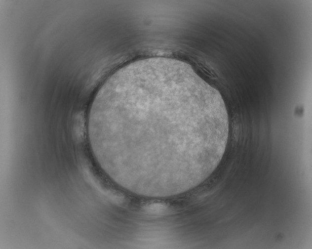 X0000113140594200910161157