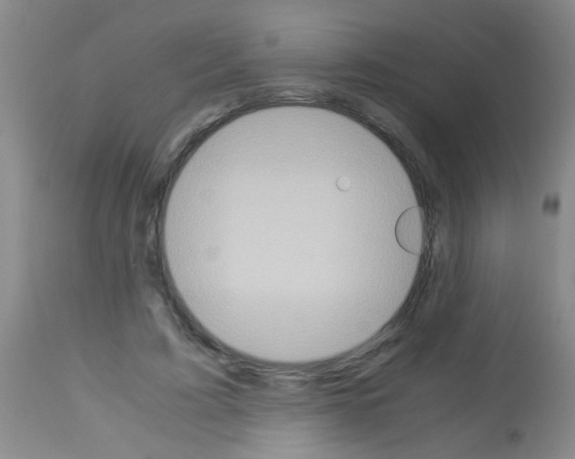 X0000113140595200910161157