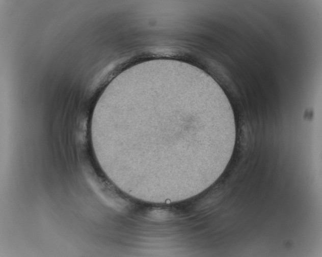 X0000113140596200910161157