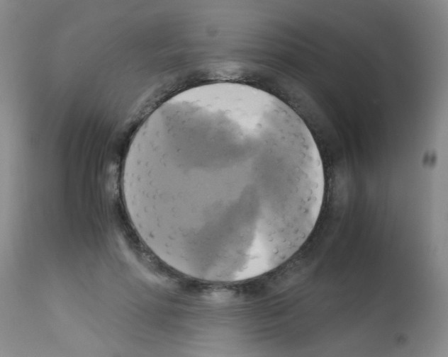 X0000113140598200910161157