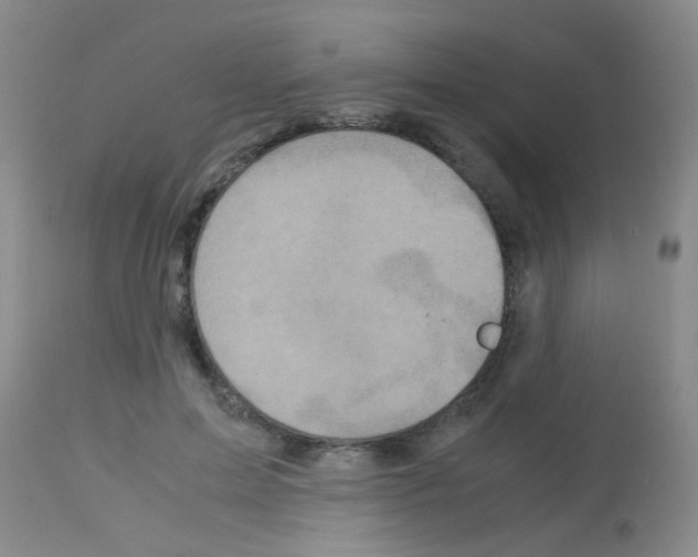 X0000113140599200910161157