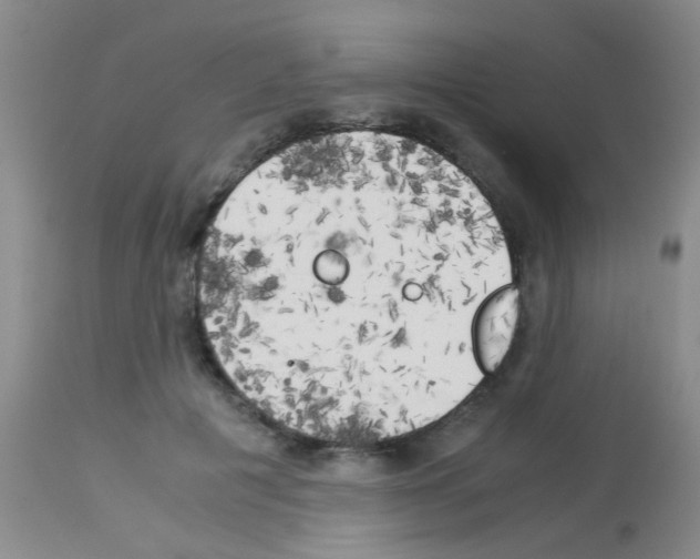 X0000113140601200910161157
