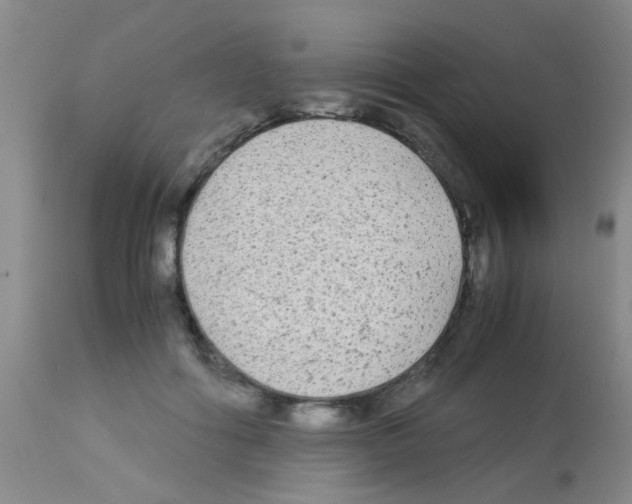 X0000113140602200910161157