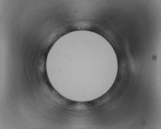 X0000113140604200910161157