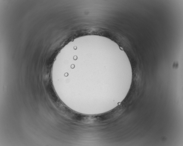 X0000113140607200910161157