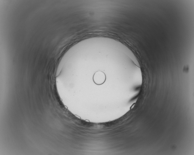 X0000113140609200910161157