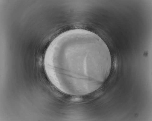 X0000113140610200910161157