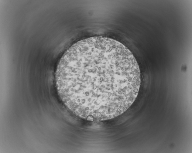 X0000113140612200910161157