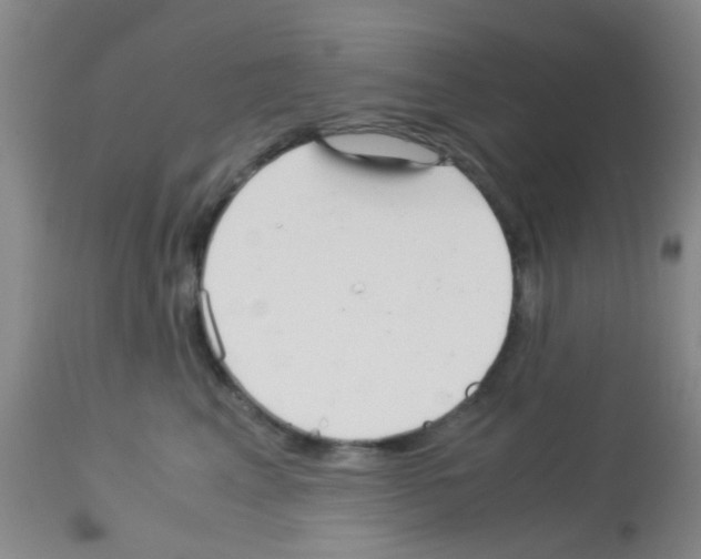 X0000113140617200910161157