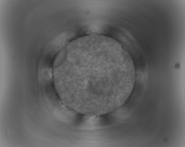 X0000113140621200910161157