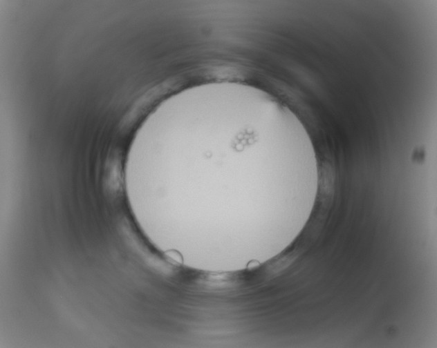 X0000113140622200910161157