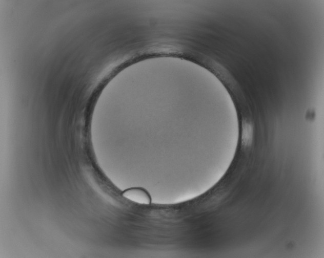 X0000113140627200910161156