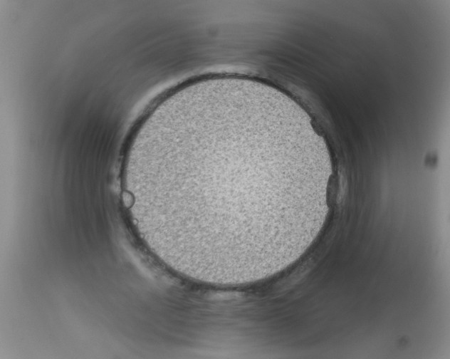 X0000113140628200910161156