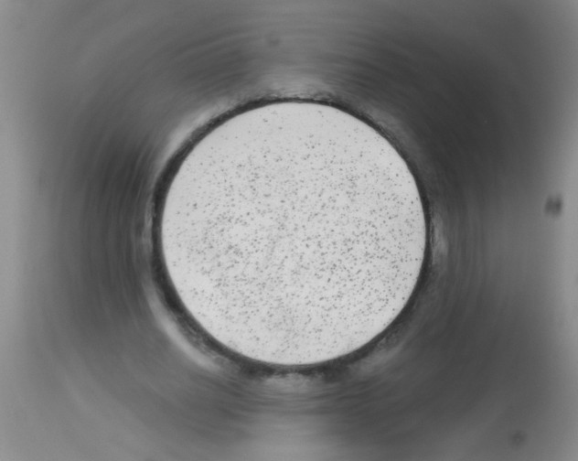 X0000113140630200910161156
