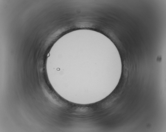 X0000113140631200910161156