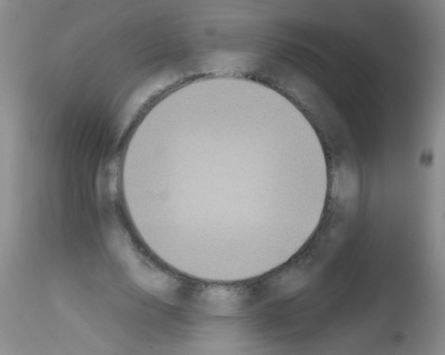 X0000113140632200910161156